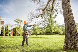 Reliable Galesburg, MI Tree Services Solutions